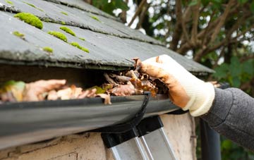 gutter cleaning North Dronley, Angus